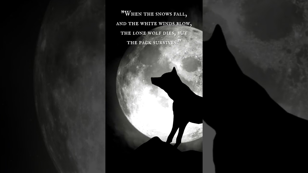 Here’s to the full moon welcoming us with open arms. 🌕🐺 Chapter I | “Your Side of the Wall”.