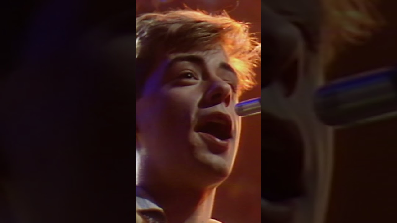 Haircut 100 - Favourite Shirts (Boy Meets Girl) on TOTP, 29 Oct 1981 (teaser)