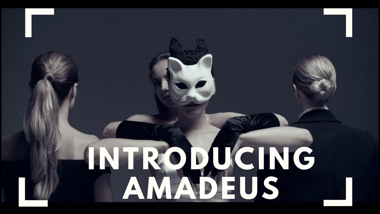 Introducing Amadeus  - The Electric Quartet & Band