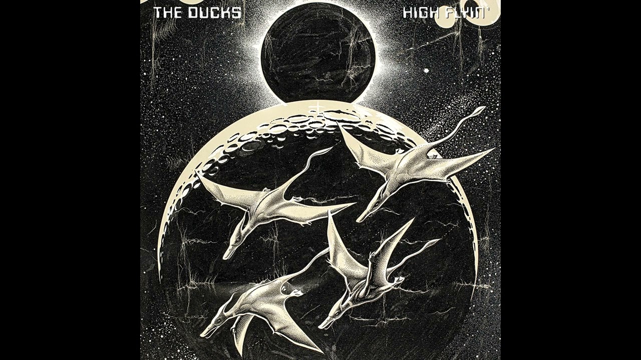 The Ducks - Car Tune (Live)