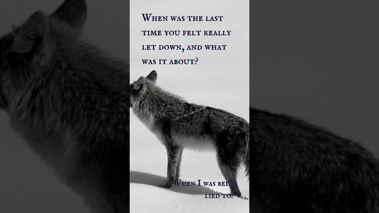 The Red Wolf (Part II) - “When I was being lied to.”
