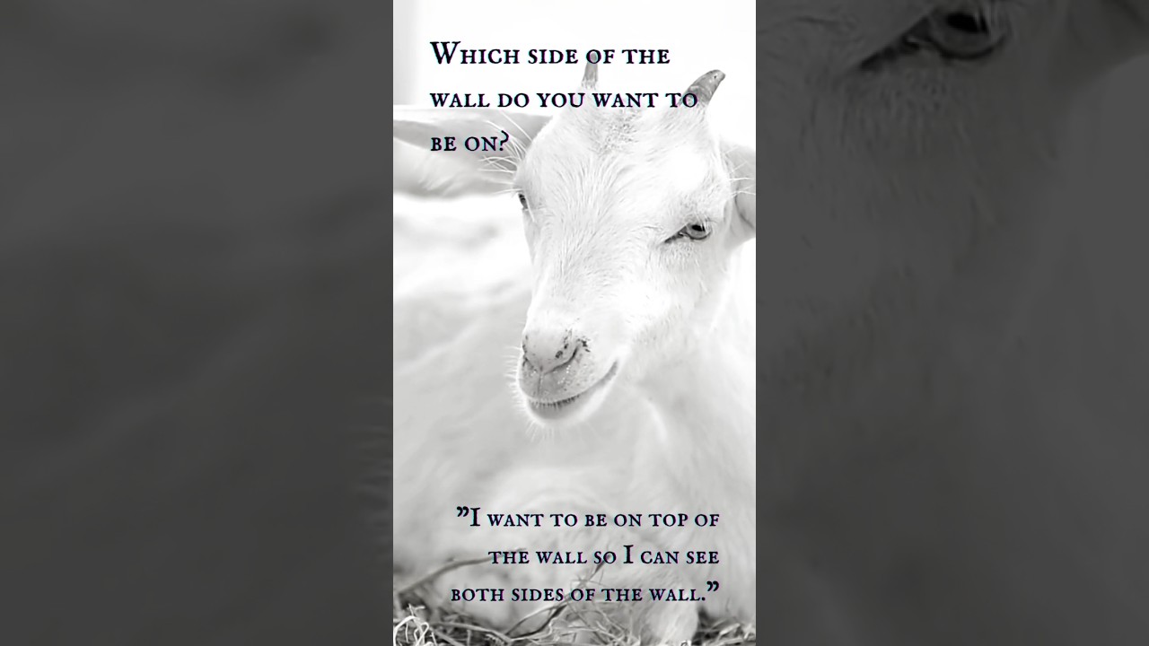 The Goat (Part II) - “So that I can see both sides of the wall.”