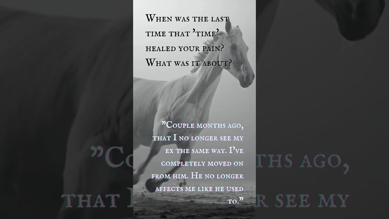 The Horse (Part III) - “I’ve got a lifelong companion.”