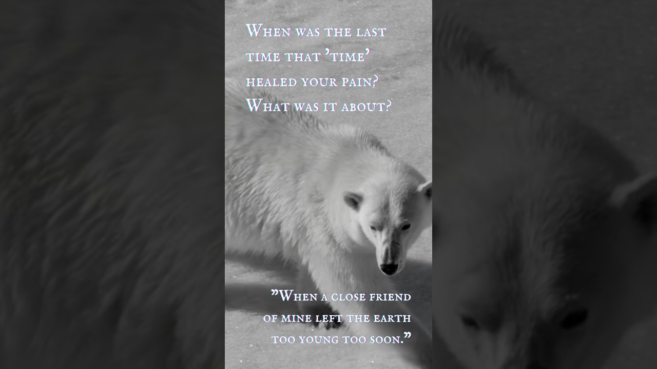 The Polar Bear (Part III) - “Too young too soon.”