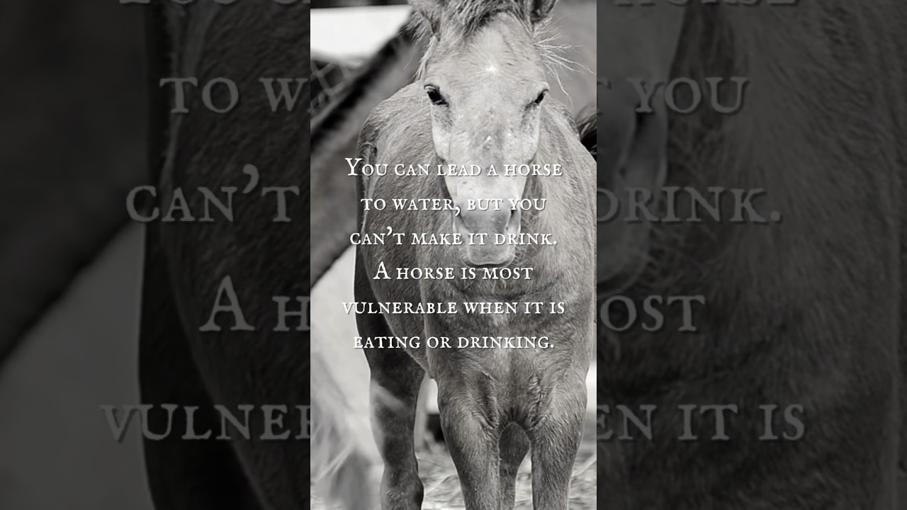 The Horse (Part IV) - “Time heals.”