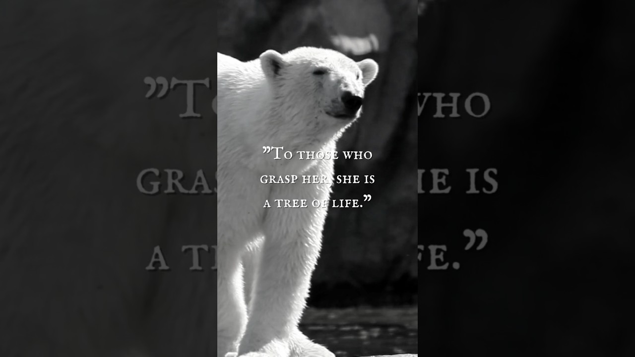 The Polar Bear (Part IV) - “To those who grasp her, she is a tree of life.”