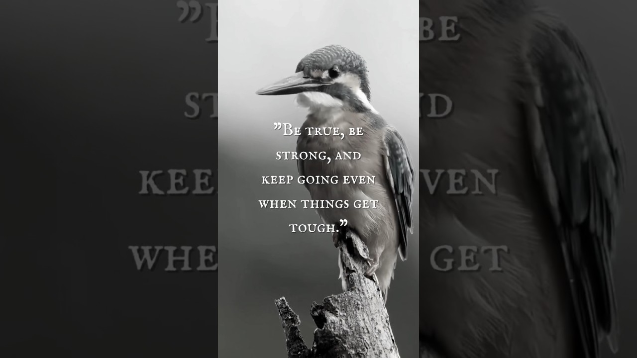 The Bird (Part IV) - “Be true, be strong and keep going even when things get tough.”