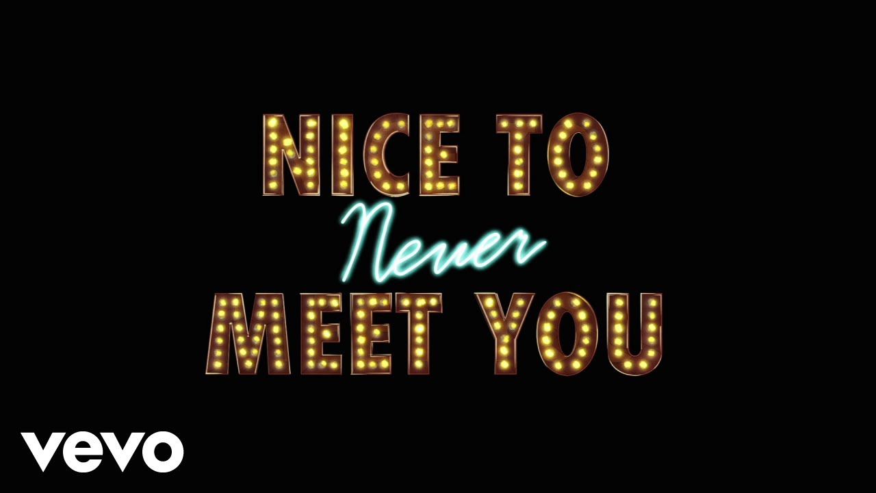 New Hope Club - Nice To Never Meet You (inspired by "L.U.S.H.")