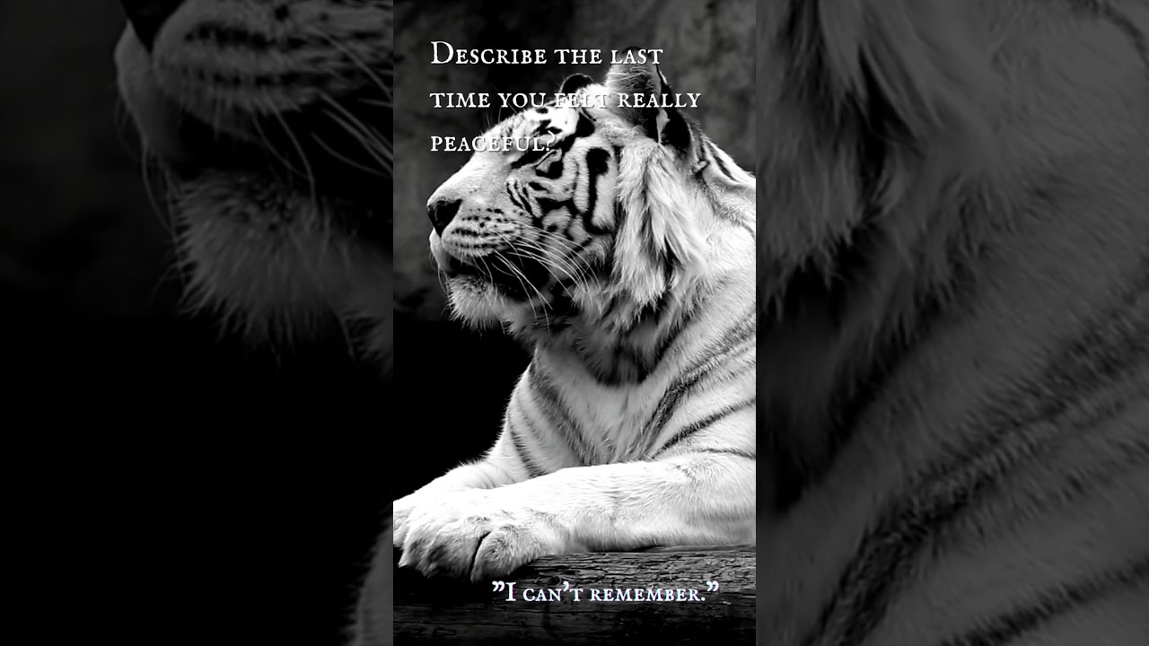 The White Tiger (Part I) - “I don’t feel safe around anyone.”