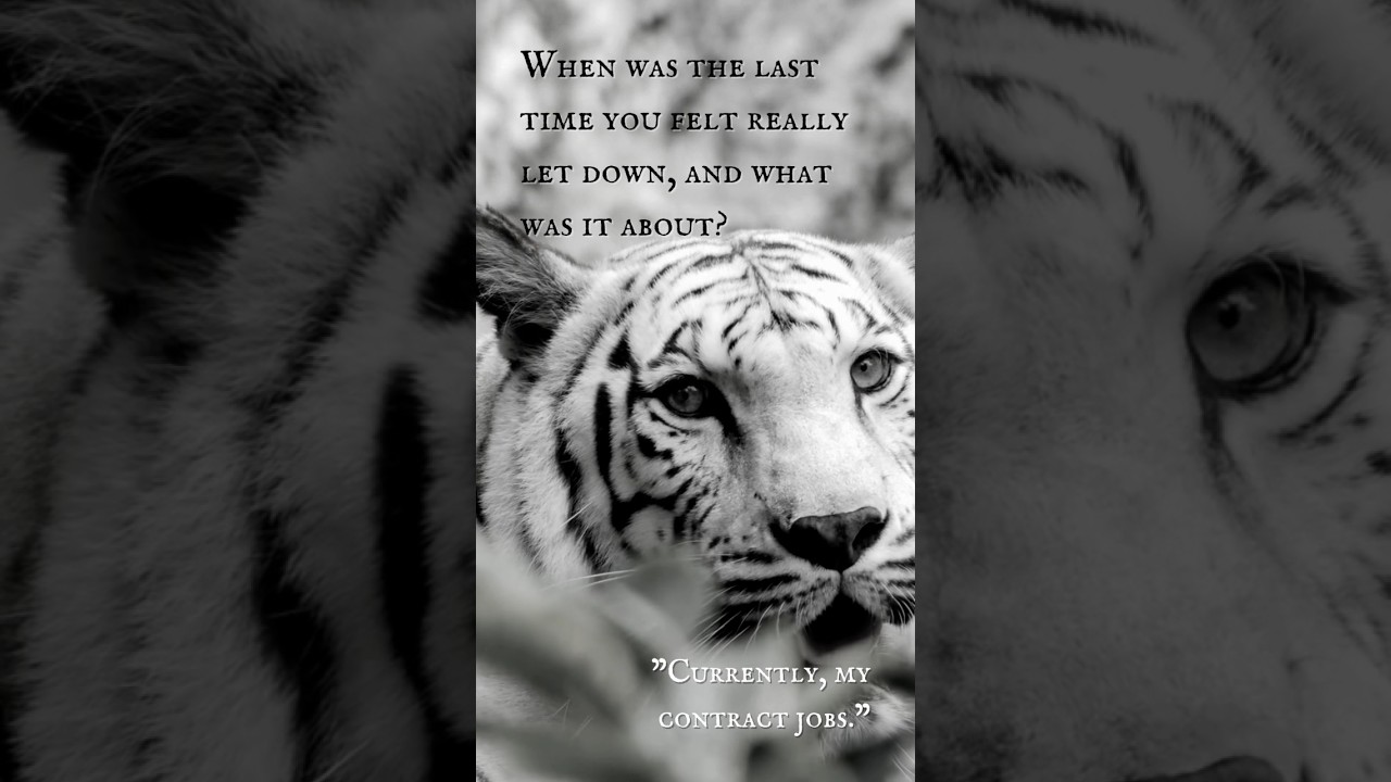 The White Tiger (Part II) - “The top of the wall.”