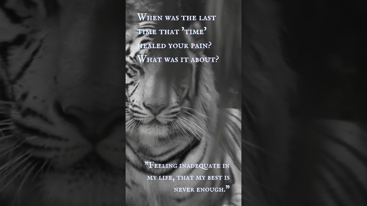 The White Tiger (Part III) - “Feeling inadequate in my life.”