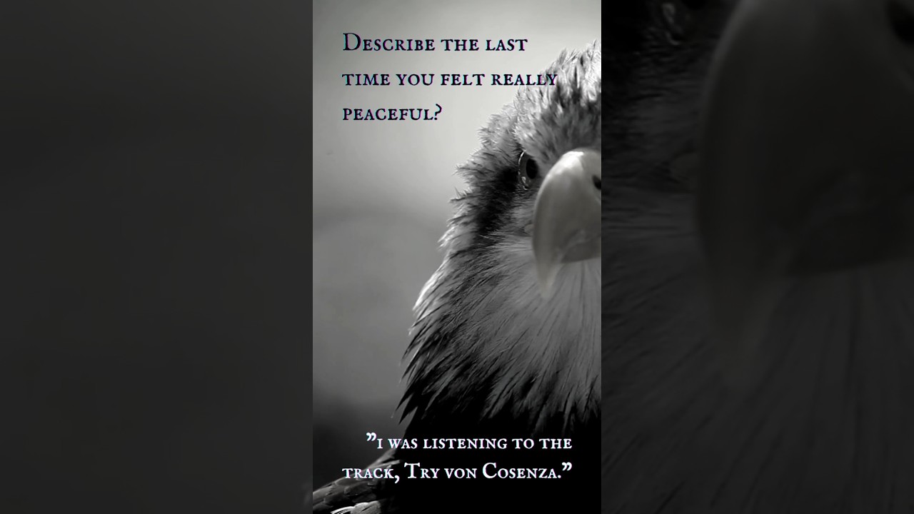 The Eagle (Part I) - “When I have to talk about my feelings.”