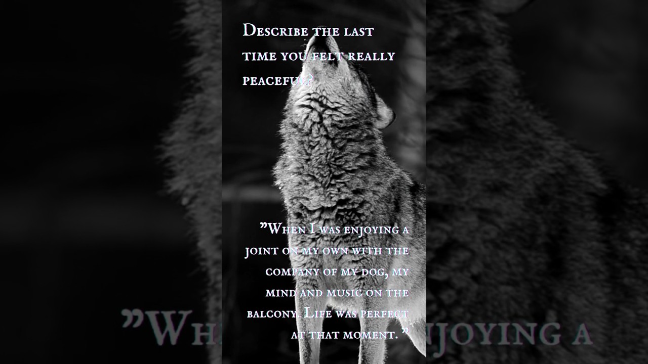 The Grey Wolf (Part I) - “Life was perfect at that moment.”