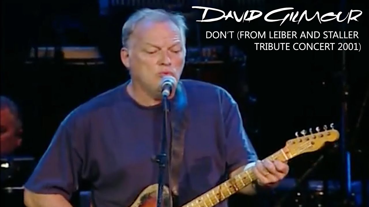 David Gilmour - Don't (from Leiber and Staller Tribute Concert 2001)