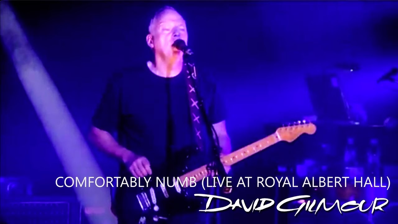 David Gilmour - Comfortably Numb (featuring Richard Wright) [Live at Royal Albert Hall]