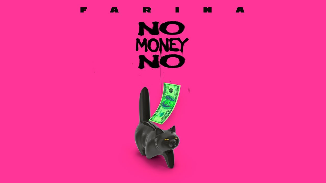 Farina - No Money, No Pussy 🤑 [Video Lyrics]