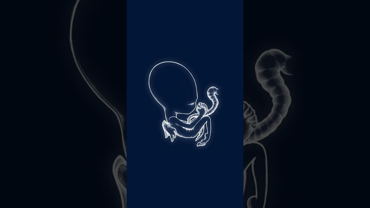 Ágætis byrjun, the band’s second album was released in June 1999 // #sigurros2