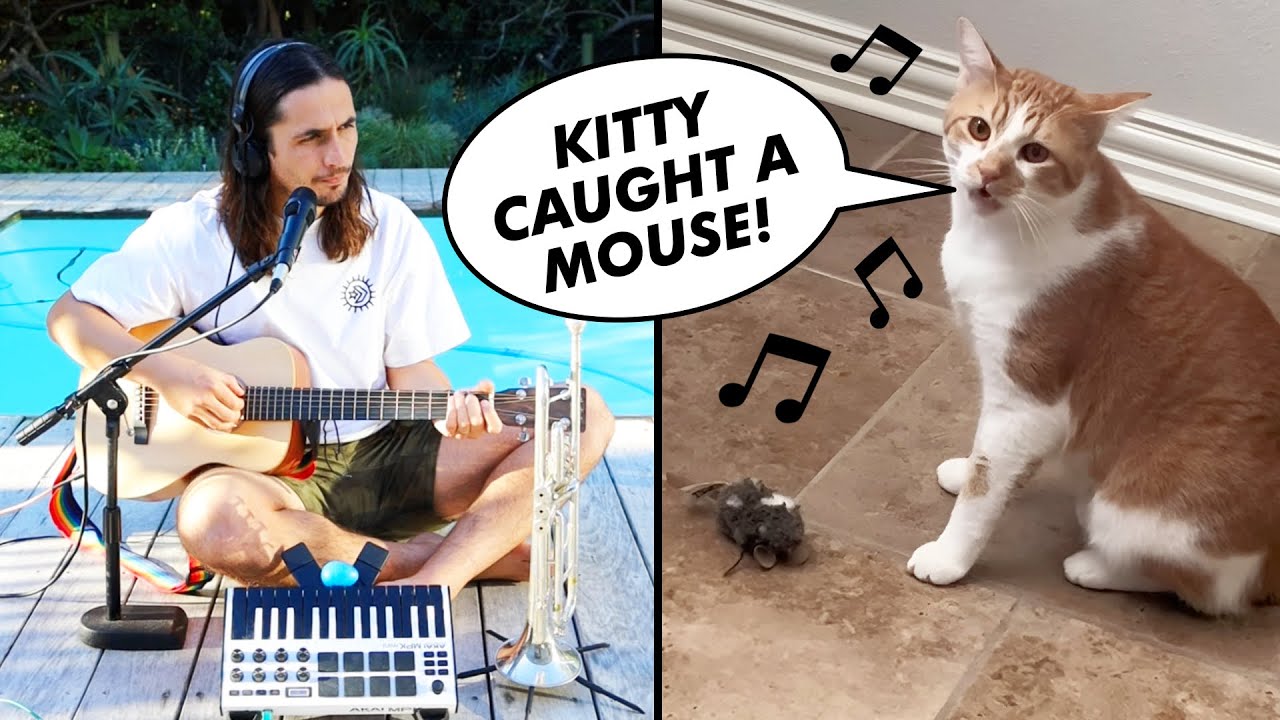 The Kiffness x Kyro (Singing Cat) - Kitty Caught a Mouse