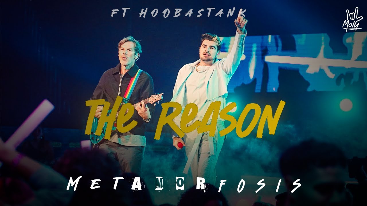 MOLY, Hoobastank -THE REASON (Latin Version) - (Visualizer)