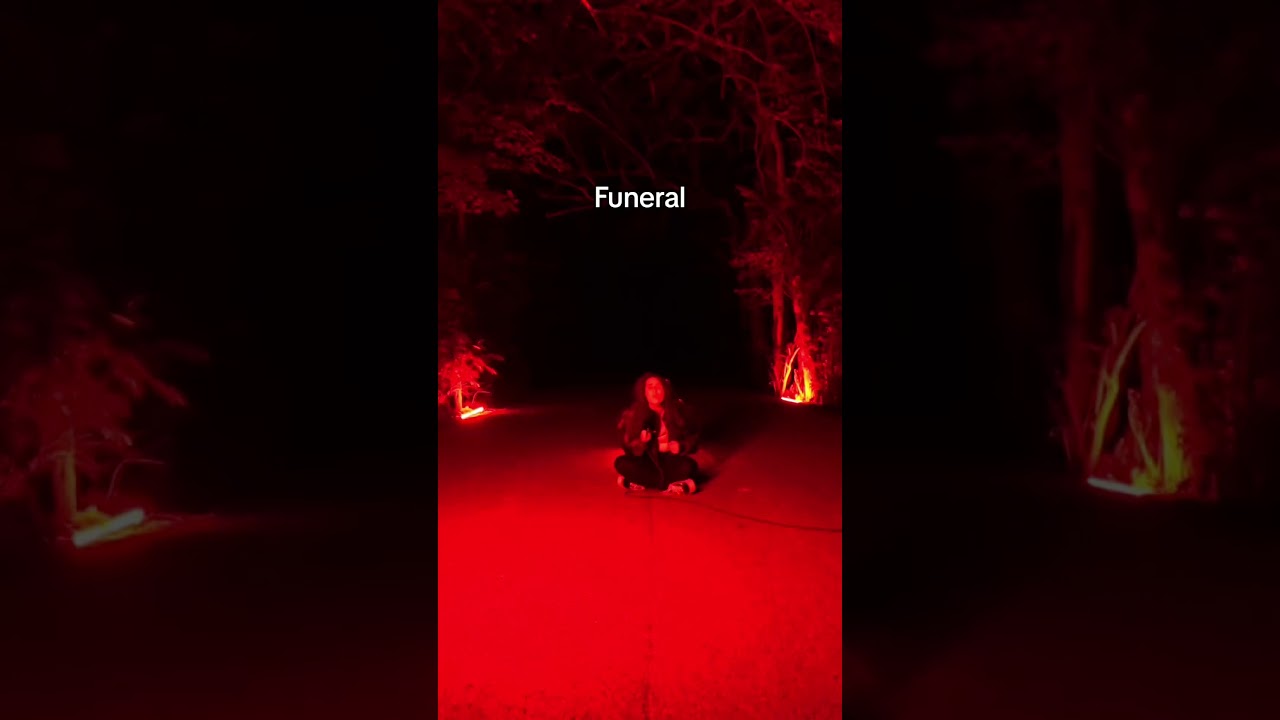 FUNERAL OUT NOW! #shorts #siblings #songwriter #music #mentalhealth #neoni #singing