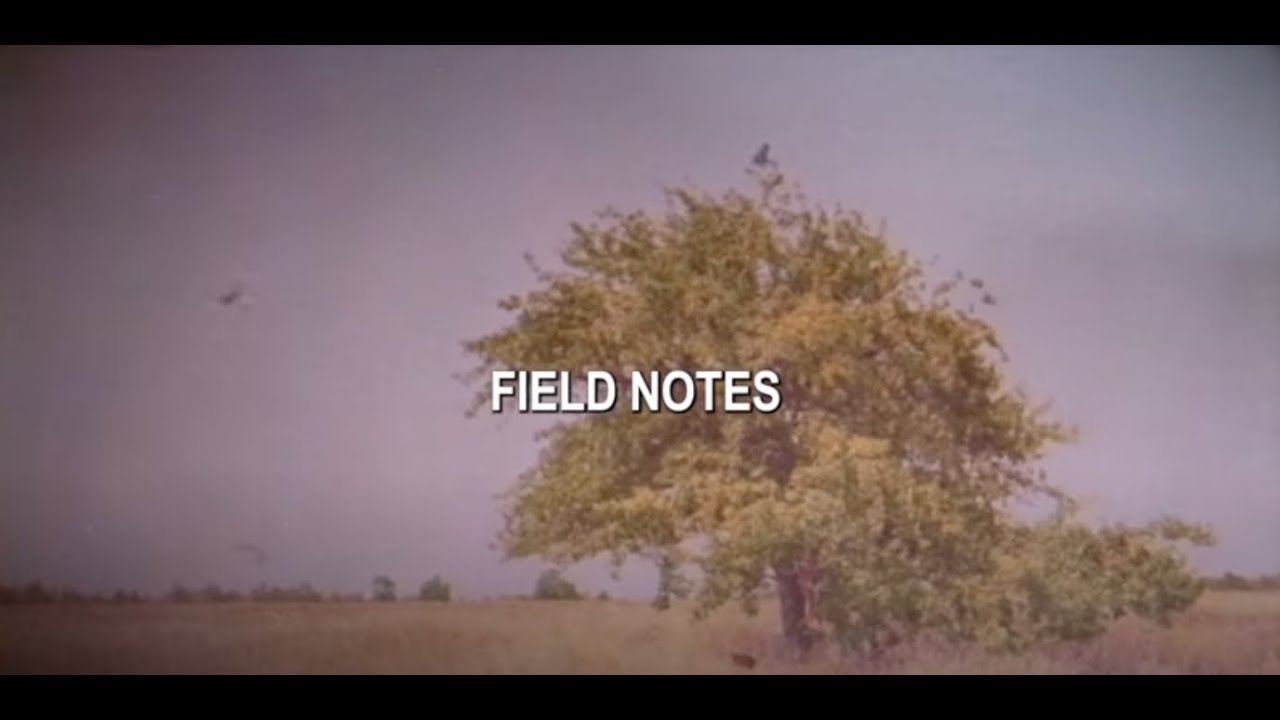 Owl City | Field Notes (Official Music Video) #FieldNotes #OwlCity