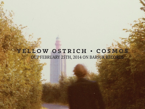 Yellow Ostrich Official Live Stream