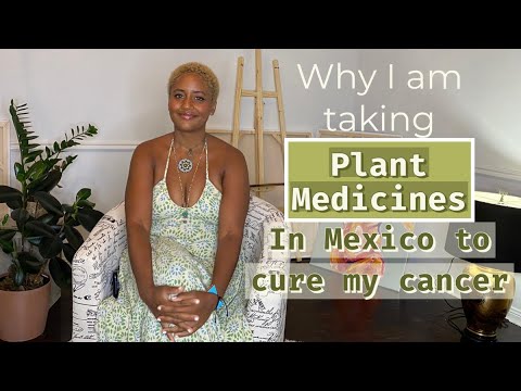 Why I am taking plant medicines in Mexico to cure my cancer