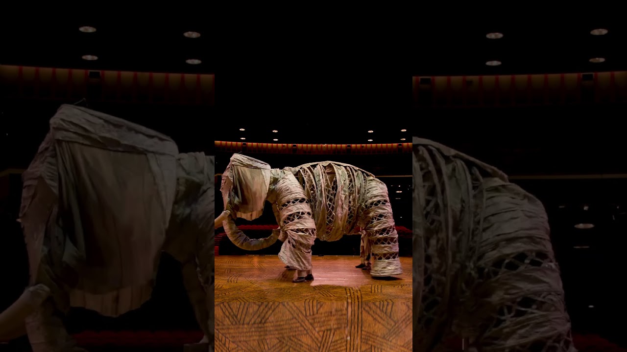 Four actors, one in each leg, bring Bertha the elephant to life on stage. 🐘✨ #TheLionKing #Broadway