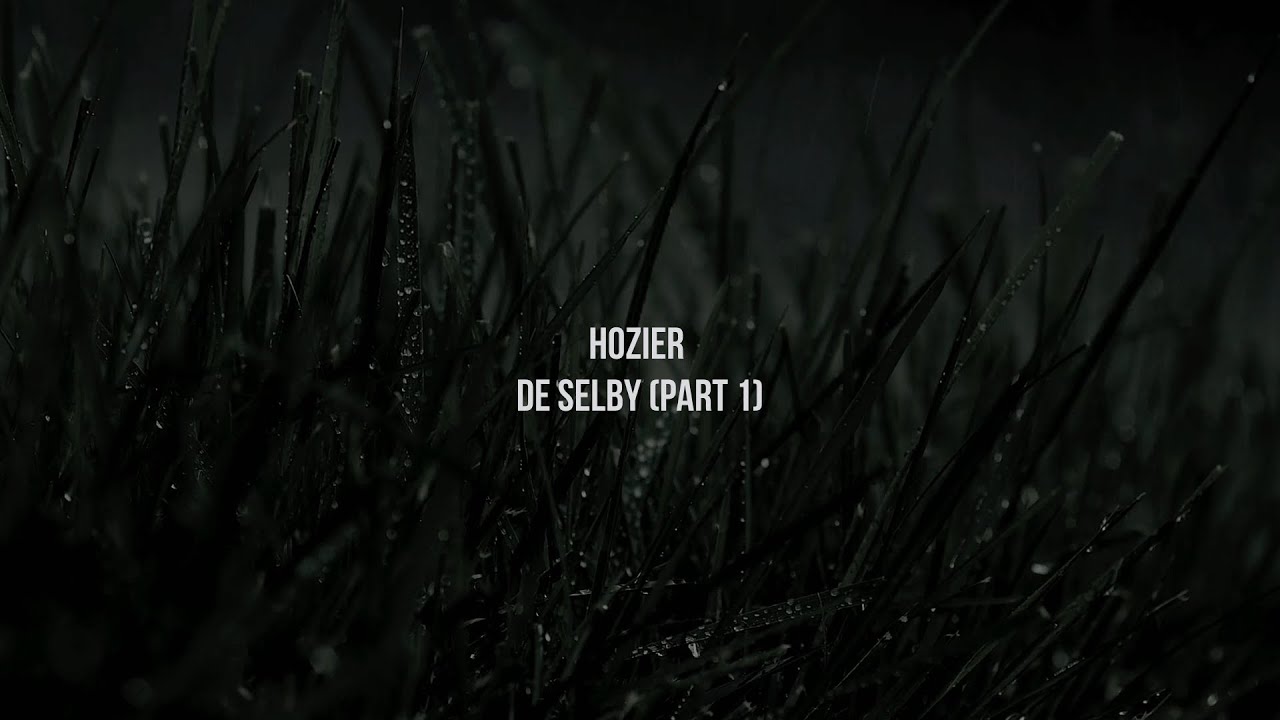 Hozier - De Selby (Part 1) (Official Lyric Video)