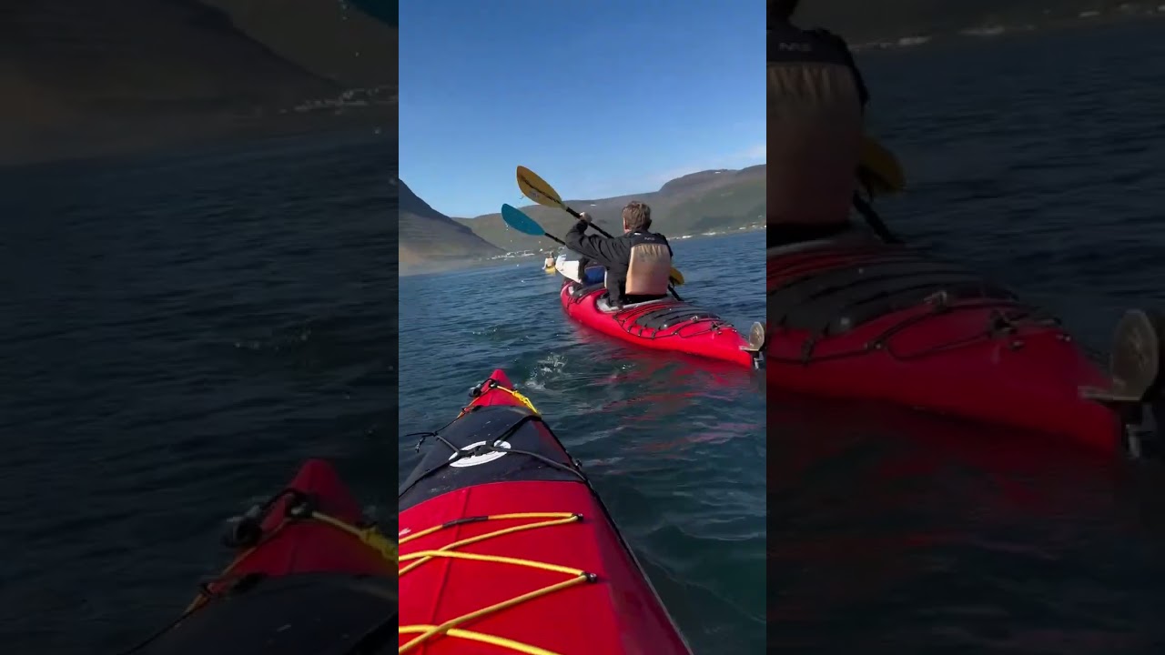 Kayaking in Isafjördur