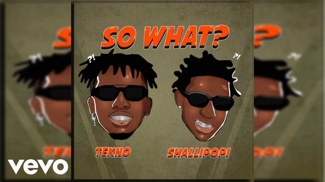 Tekno, Shallipopi - So What? (Official Audio)