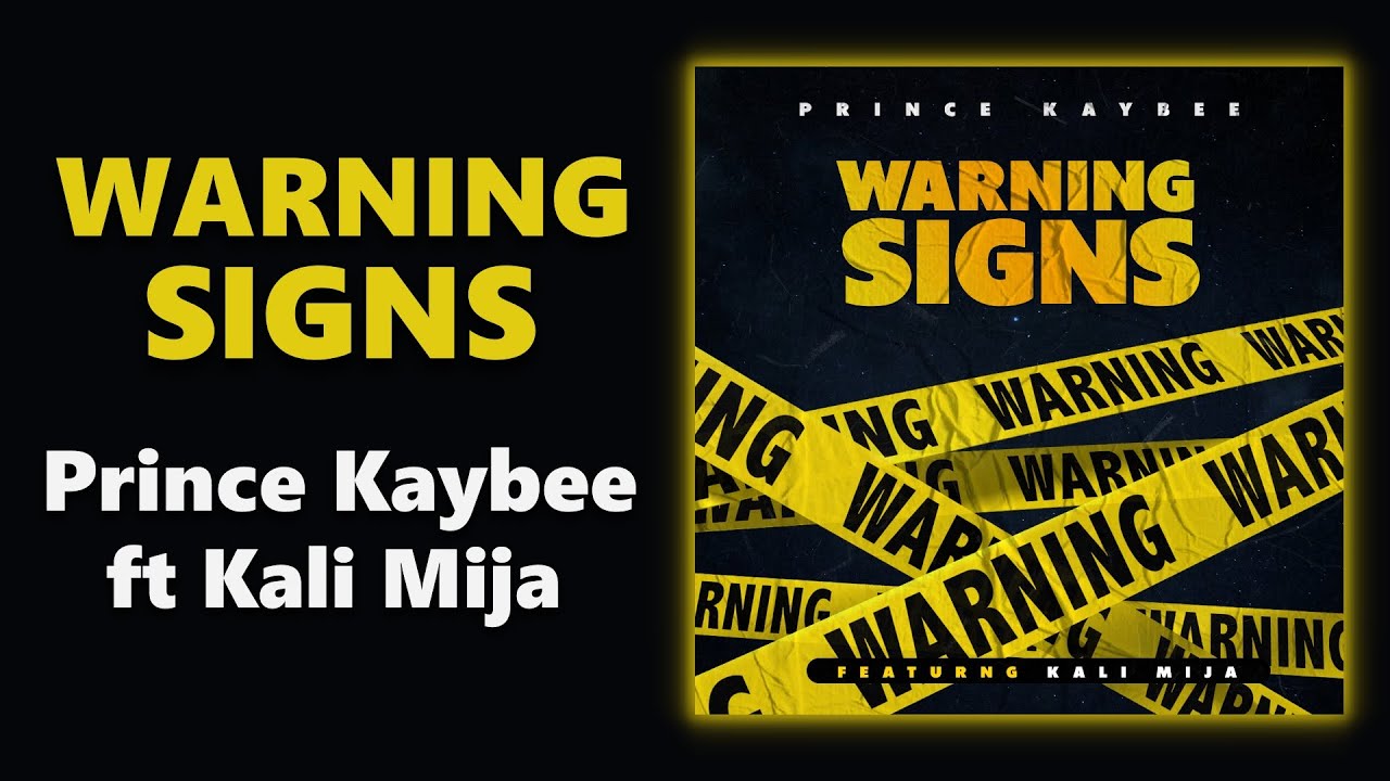 Prince Kaybee - Warning Signs feat. Kali Mija | Official Audio