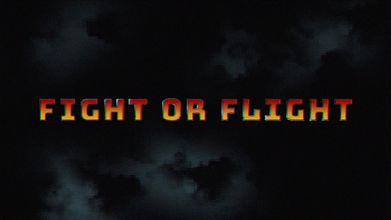 Alison Wonderland x MEMBA - Fight or Flight (Visualizer)
