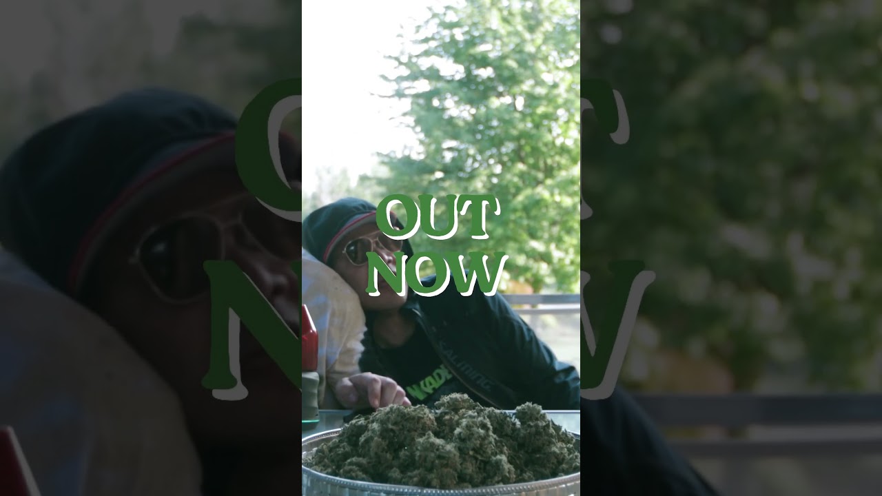 New video out now 💨Features @urbanremo and Damian Abraham. #gethigh #electricsounds #newvideo