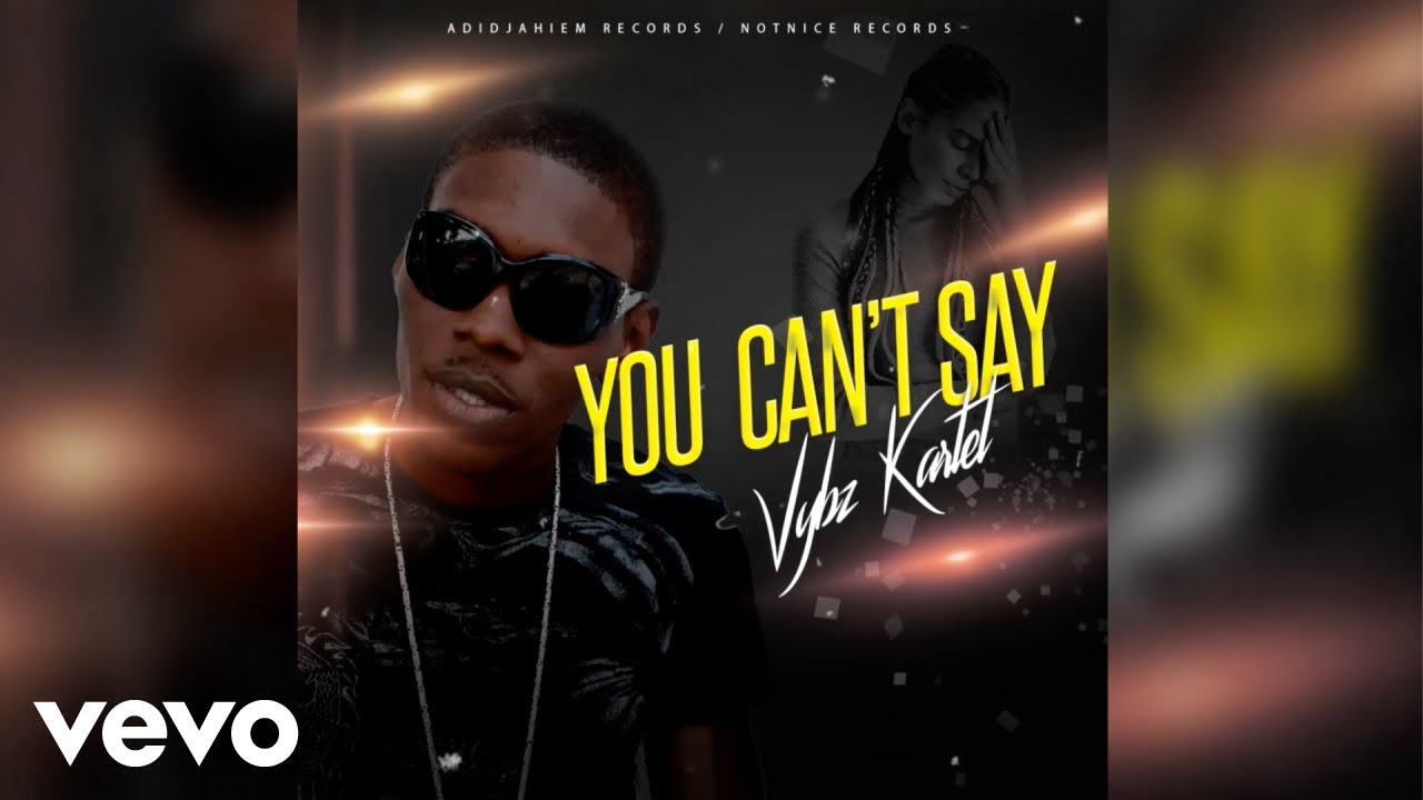 Vybz Kartel - You Can't Say (Official Audio)