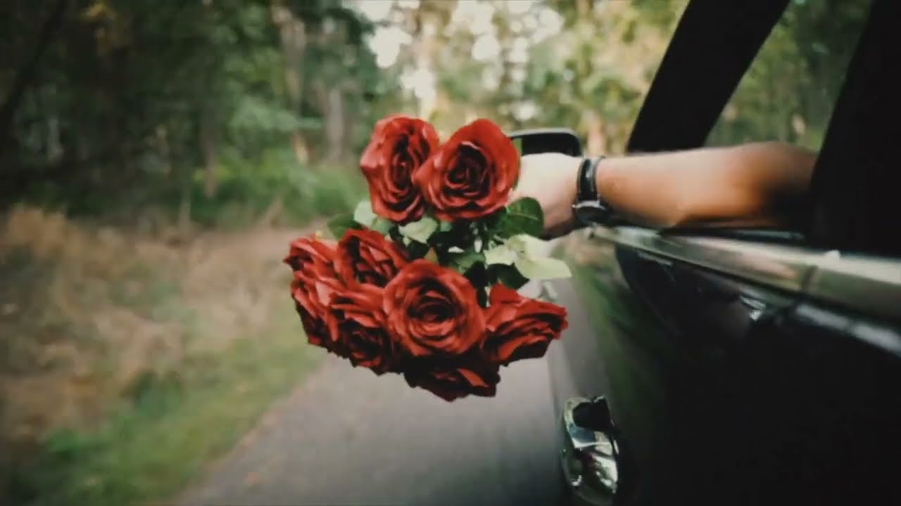 Hunter Hayes - Roses (Visualizer)