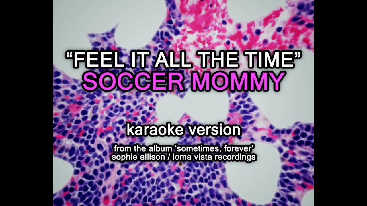 Soccer Mommy - Feel It All The Time (Karaoke Video)