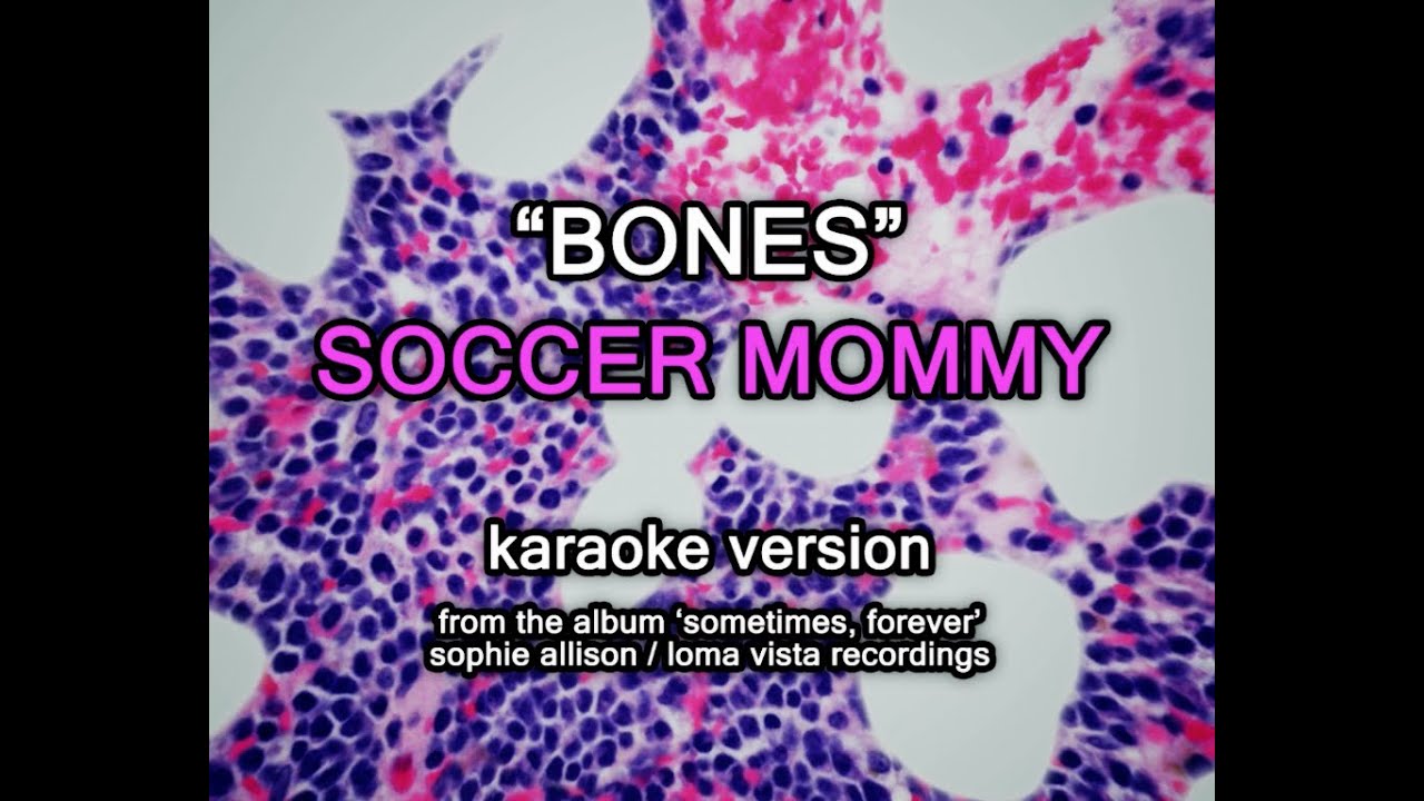Soccer Mommy - Bones (Karaoke Video)
