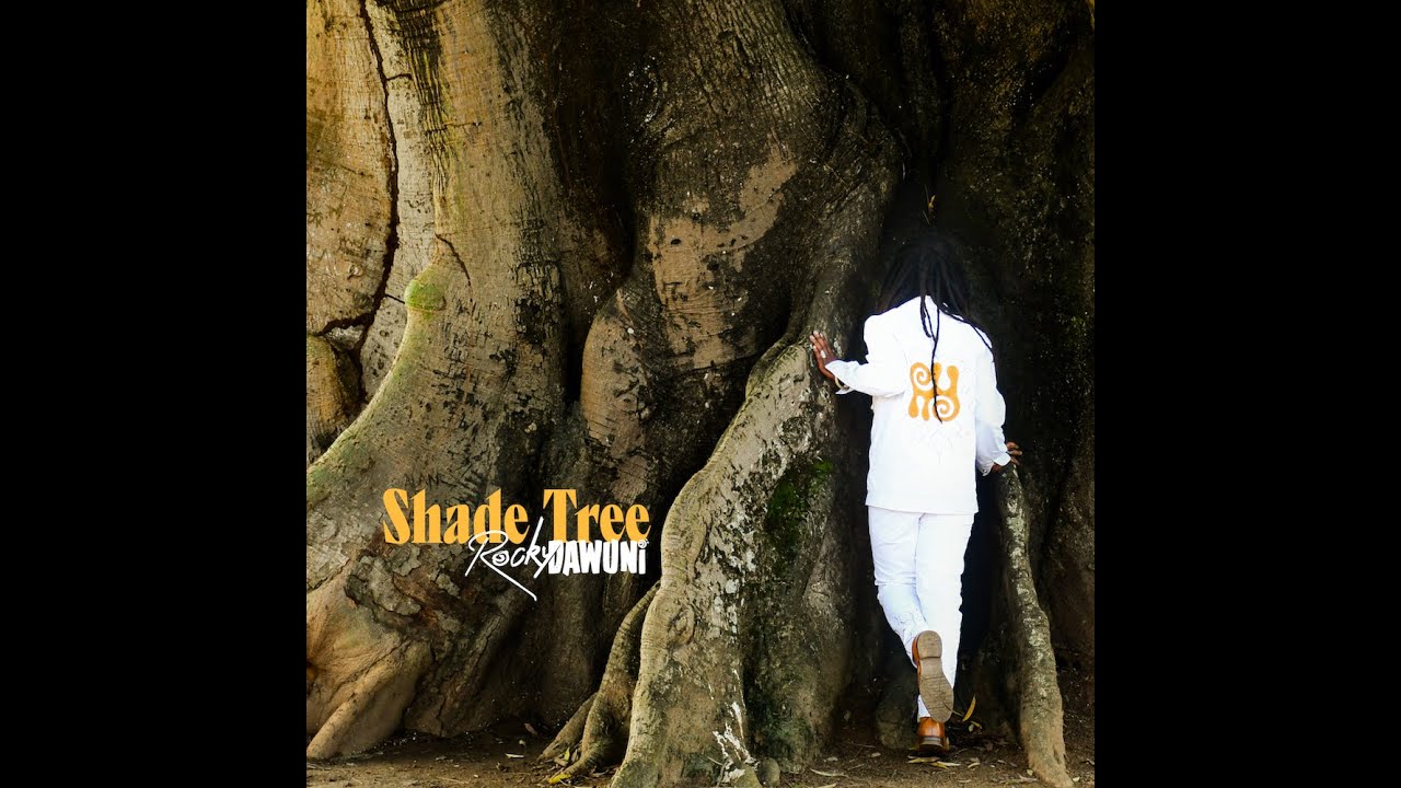 Rocky Dawuni "Shade Tree" (Offical Music Video)