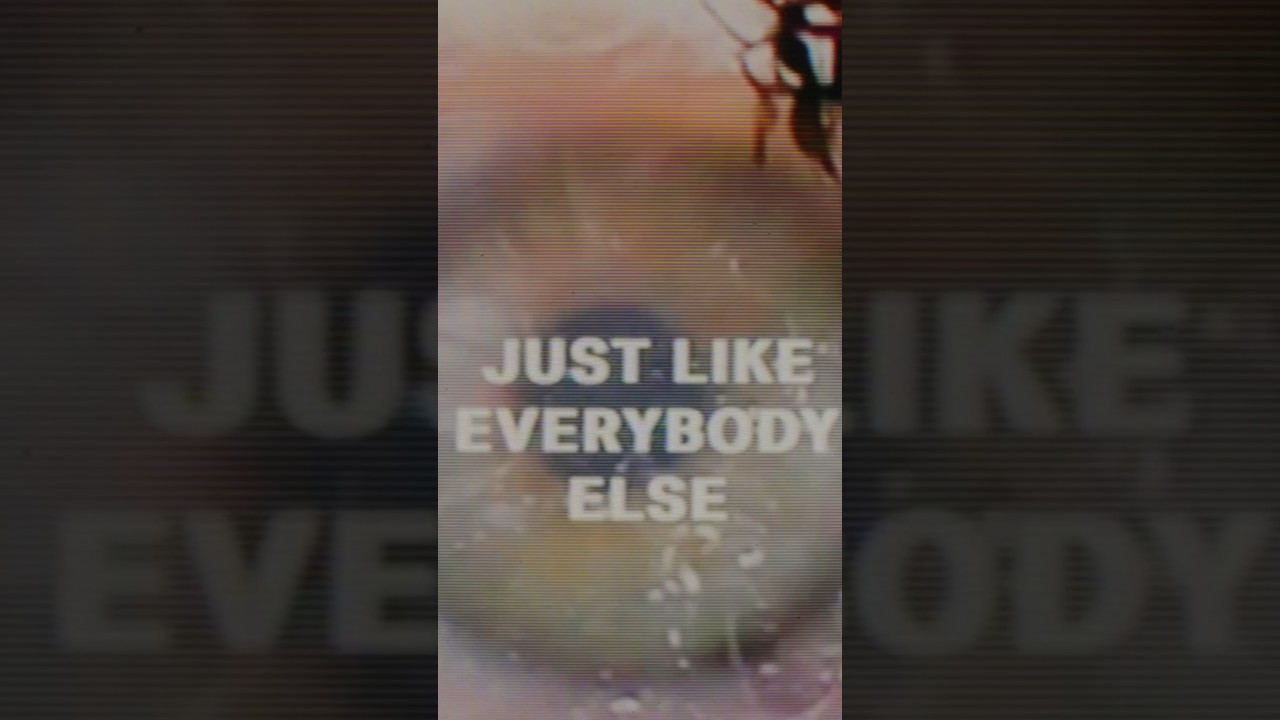 everybody else - out now ✨⭐️
