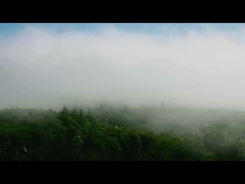 Tim Baker - Along The Mountain Road (Lyric Video)