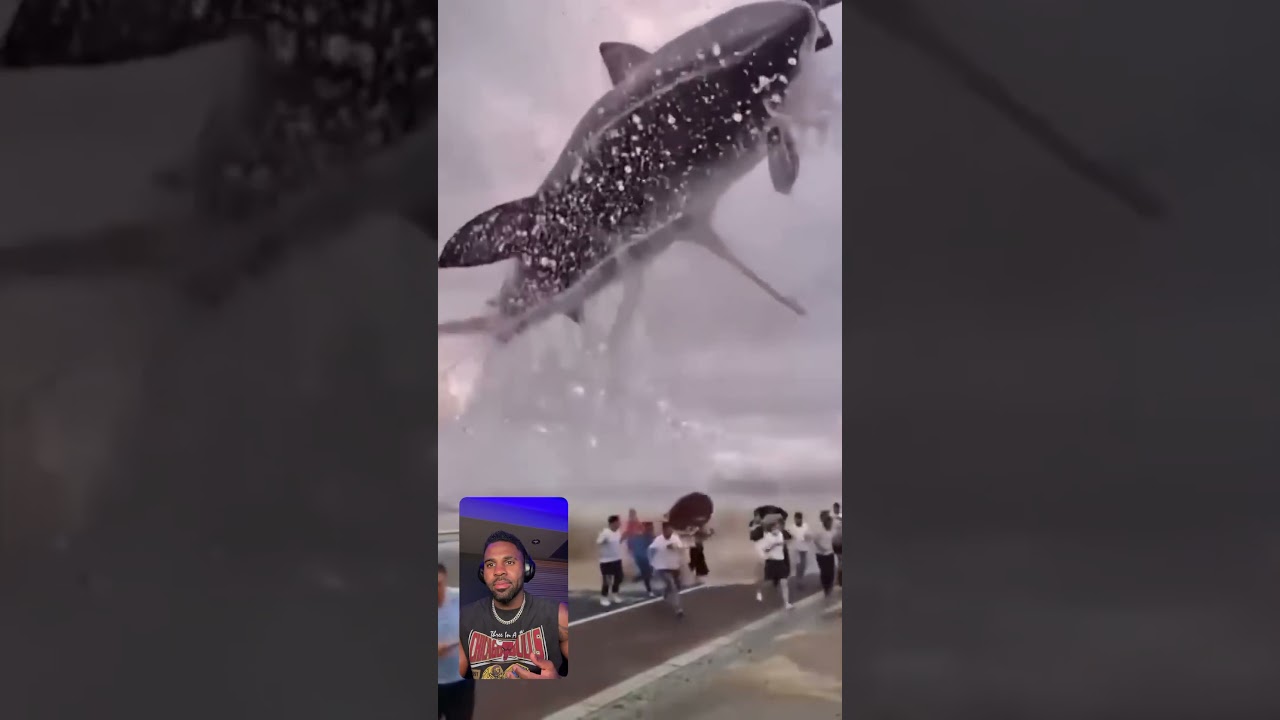 #JasonDeruloTV // How Big Is This Shark 🤯 @M007- #SlowLow