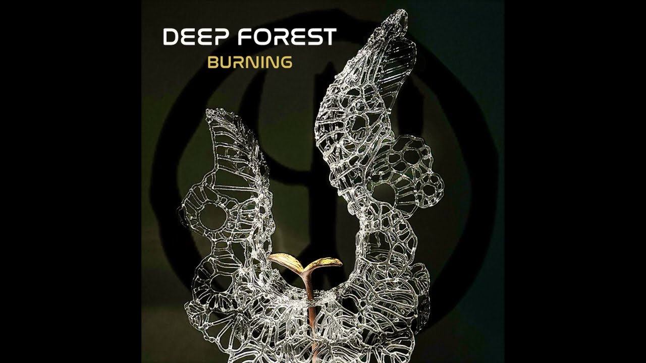 Deep Forest Burning growing fast