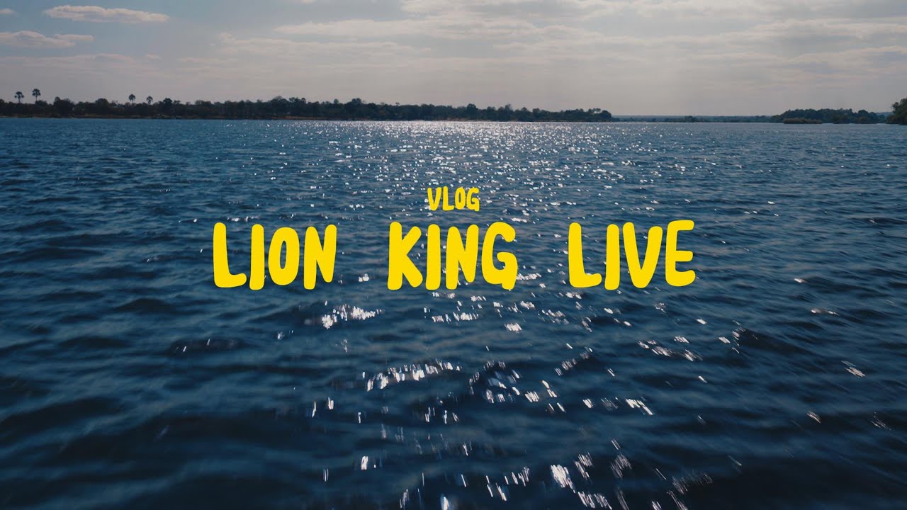 Lion King Live Teaser | Sony ZV-E1 Cinematic Vlog