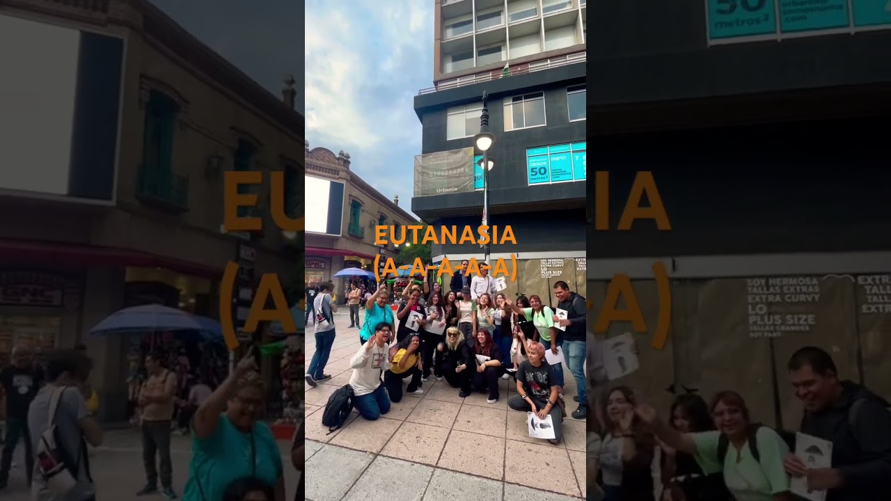 Eutanasia con fans 🖤 #shorts #bruses #CEMBPAD
