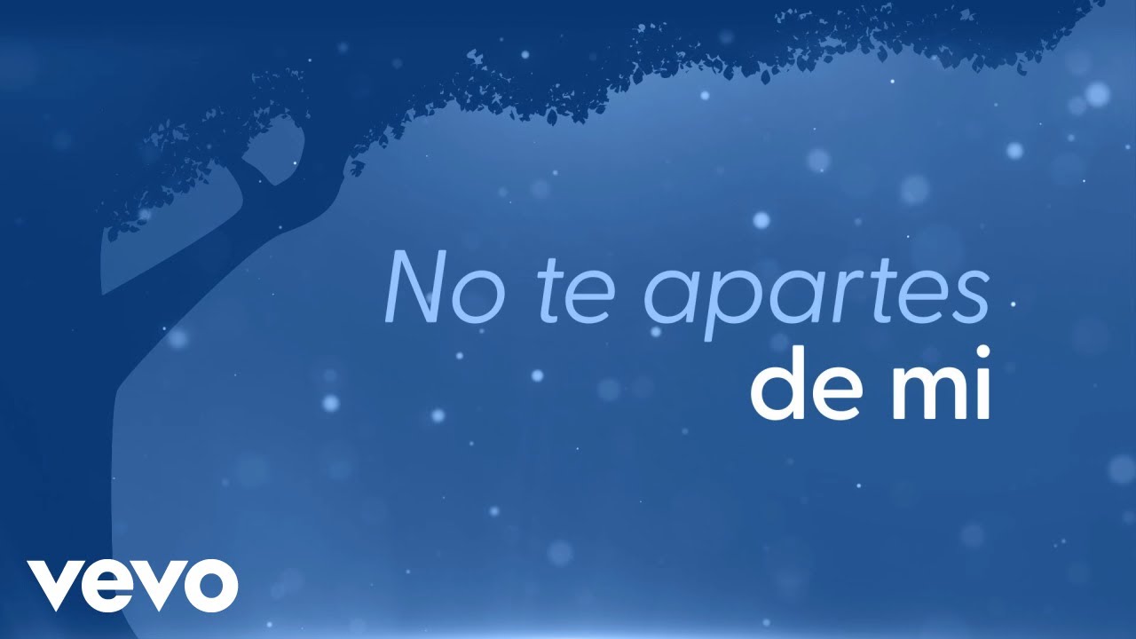 Roberto Carlos - No Te Apartes de Mi (Não Se Afaste de Mim) (Lyric Video)