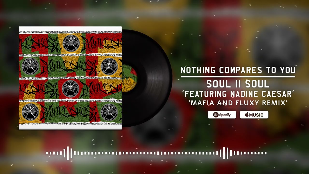 Soul II Soul - Nothing Compares To You ft Nadine Caesar - Mafia and Fluxy Remix (Visualizer)