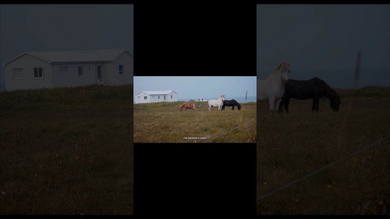 ‘Visitor’ from our documentary TÍU, out now