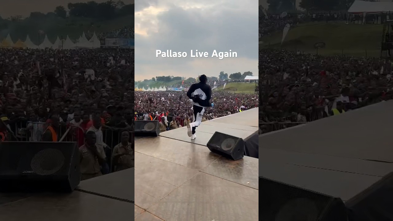 Pallaso end of 2023 Performance
