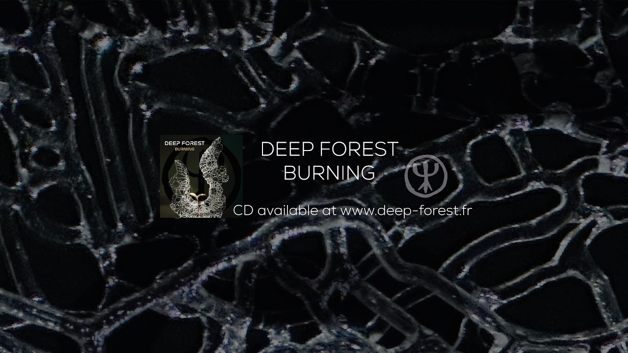 Diffusion en direct de Deep Forest